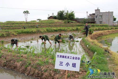 方洞镇:助农插秧解民忧,干群协力一家亲(图1) 方洞镇:助农插秧解民忧,干群协力一家亲(图1)