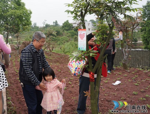 泸县立石：“育树祈福”活动传递环保生态新理念(图3)