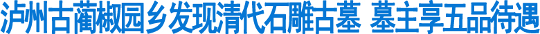 泸州古蔺椒园乡发现清代石雕古墓(图1)