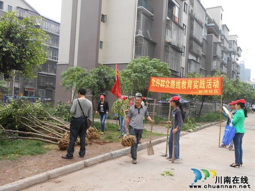 张坝：彭湾社区践行群众路线教育&nbsp;开展义务植树活动(图2)