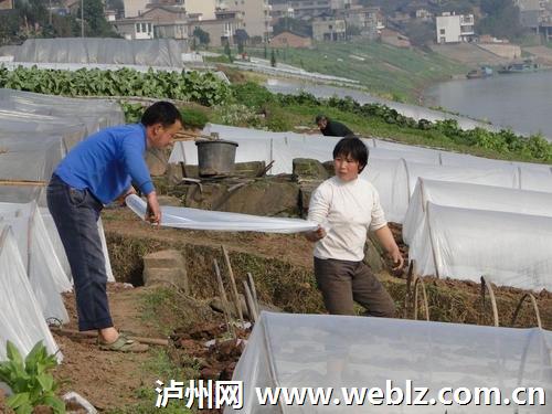 融渝:泸州向东(下篇)(图4) 融渝:泸州向东(下篇)(图4)