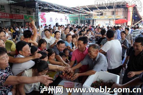 融渝：泸州向东(下篇)(图3)