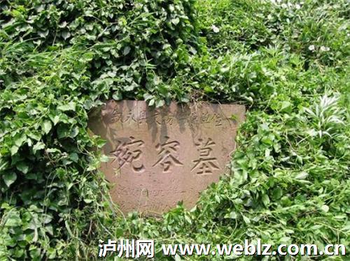 融渝:泸州向东(下篇)(图9) 融渝:泸州向东(下篇)(图9)