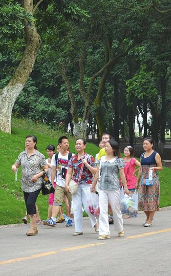 泸州旅游市场冰火两重天:乡村游太火爆景区生意"秋"(图2) 泸州旅游市场冰火两重天:乡村游太火爆景区生意"秋"(图2)
