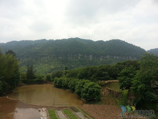 天堂坝杨梅节即将开幕 高速、快速路直达福宝(图8) 天堂坝杨梅节即将开幕 高速、快速路直达福宝(图8)