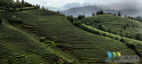 泸州:天仙硐景区晋升为国家4A级旅游景区(图5) 泸州:天仙硐景区晋升为国家4A级旅游景区(图5)