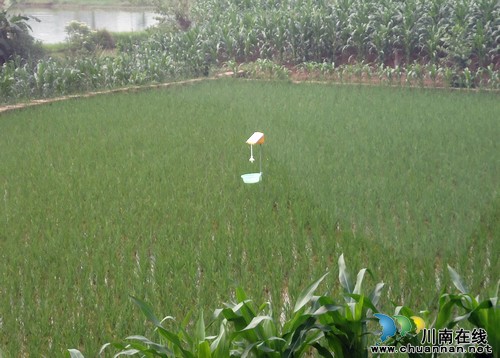 毗卢镇：小小杀虫灯&nbsp;杀虫效果好(图1)