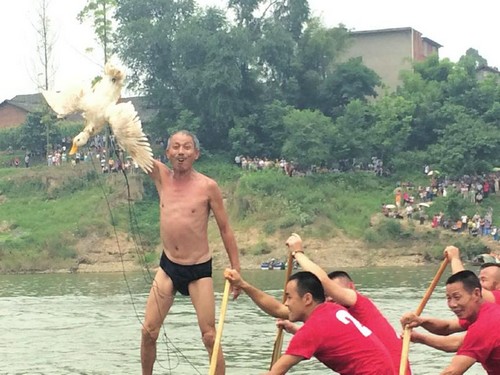 划起龙舟庆端午 抢鸭子咯(图2) 划起龙舟庆端午 抢鸭子咯(图2)