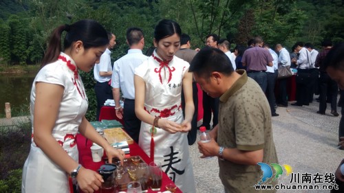 "早春二月"特早茶亮相川林会 受到好评(图4) "早春二月"特早茶亮相川林会 受到好评(图4)