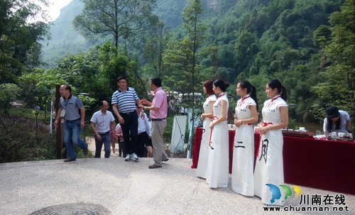 "早春二月"特早茶亮相川林会 受到好评(图1) "早春二月"特早茶亮相川林会 受到好评(图1)