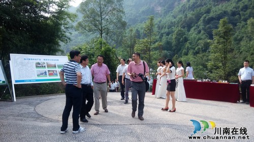 "早春二月"特早茶亮相川林会 受到好评(图2) "早春二月"特早茶亮相川林会 受到好评(图2)