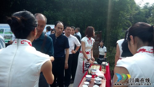 "早春二月"特早茶亮相川林会 受到好评(图8) "早春二月"特早茶亮相川林会 受到好评(图8)