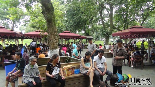 好吃又好玩&nbsp;张坝景区的别样"双节"(图6)