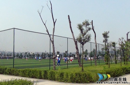 好吃又好玩&nbsp;张坝景区的别样"双节"(图5)