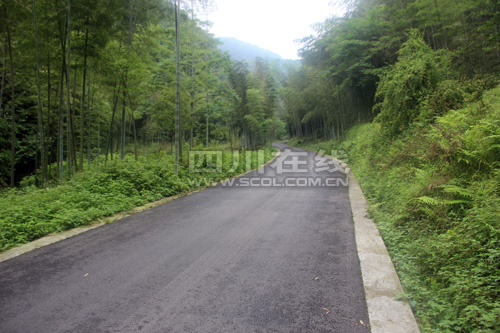 因暴雨暂停营业的古蔺黄荆老林景区于昨日恢复(图2) 因暴雨暂停营业的古蔺黄荆老林景区于昨日恢复(图2)