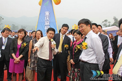 改革步入“深水区”&nbsp;宜宾模式可复制