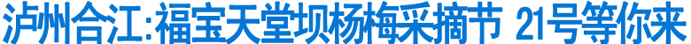 福宝天堂坝杨梅采摘节&nbsp;21号等你来