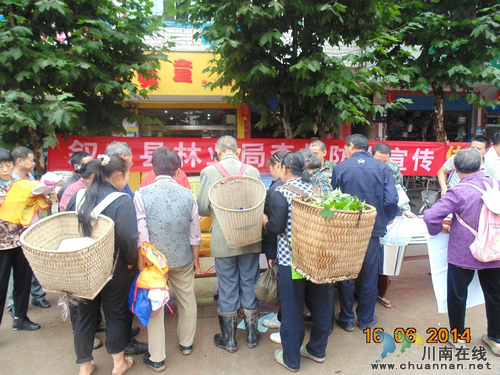 水尾镇：提升扑火技能&nbsp;筑牢森林“防火墻”