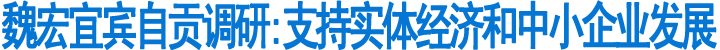 魏宏宜宾自贡调研:支持实体经济和中小企业发展(图1)