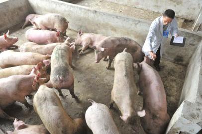 四川初步完成"畜牧归农""食安归药"机构整合(图1)