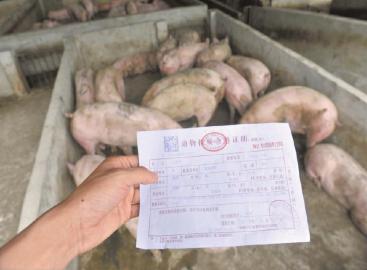 四川初步完成"畜牧归农""食安归药"机构整合(图3)
