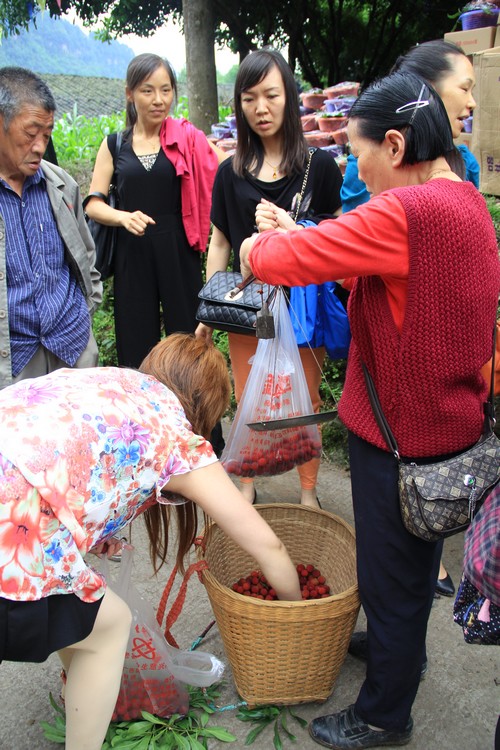 到合江天堂坝享良辰"梅"景开启自驾游户外模式(图6) 到合江天堂坝享良辰"梅"景开启自驾游户外模式(图6)