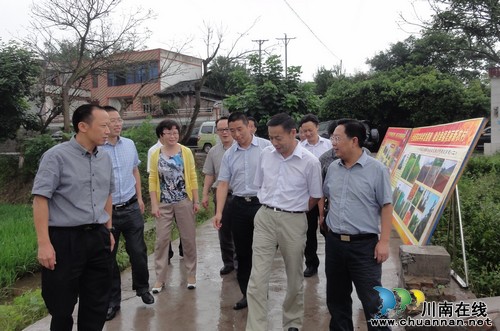 省农业厅厅长任永昌莅临泸县检查指导农业工作(图1) 省农业厅厅长任永昌莅临泸县检查指导农业工作(图1)