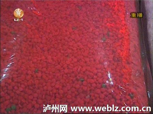 泸州宣传毒品危害大&nbsp;共同关爱青少年(图4)