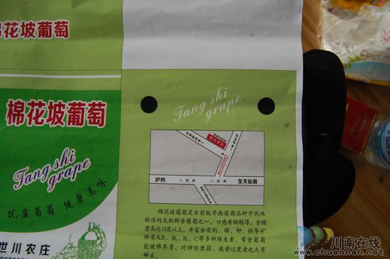 纳溪棉花坡“世川葡萄园”葡萄熟了!(图20) 纳溪棉花坡“世川葡萄园”葡萄熟了!(图20)