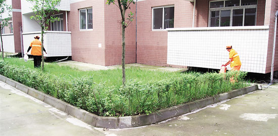 内江城区市容秩序整治:五十七条街道三个广场(图1) 内江城区市容秩序整治:五十七条街道三个广场(图1)