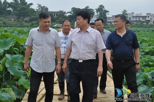 省农业厅调研泸县农村土地承包确权登记验收试点工作(图3)