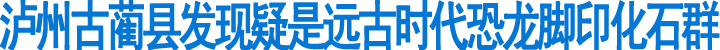 泸州古蔺发现疑是远古时代恐龙脚印化石群(图1)