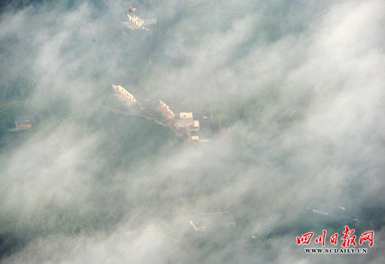 江安森林公园现云海奇观&nbsp;宛若蓬莱仙境(图)(图1)