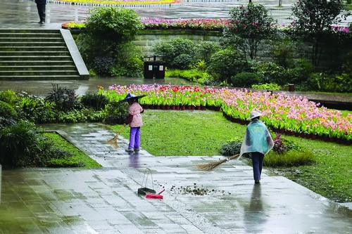 泸州:今夏雨水特别多 老天什么时候才能开心?(图2) 泸州:今夏雨水特别多 老天什么时候才能开心?(图2)