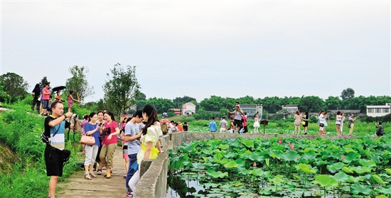 内江市首个乡村消夏旅游文化节开幕(图1) 内江市首个乡村消夏旅游文化节开幕(图1)