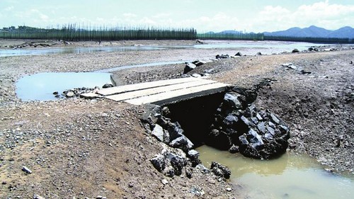 救起浙江9岁落水娃 宜宾好大姐他乡遇难(图2) 救起浙江9岁落水娃 宜宾好大姐他乡遇难(图2)