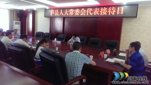 泸县人大常委会代表接待日活动首次举行(图1)