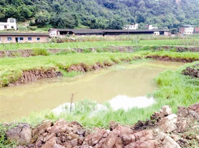 宜宾4未成年人鱼塘游泳 3人溺水身亡1人入院(图1) 宜宾4未成年人鱼塘游泳 3人溺水身亡1人入院(图1)