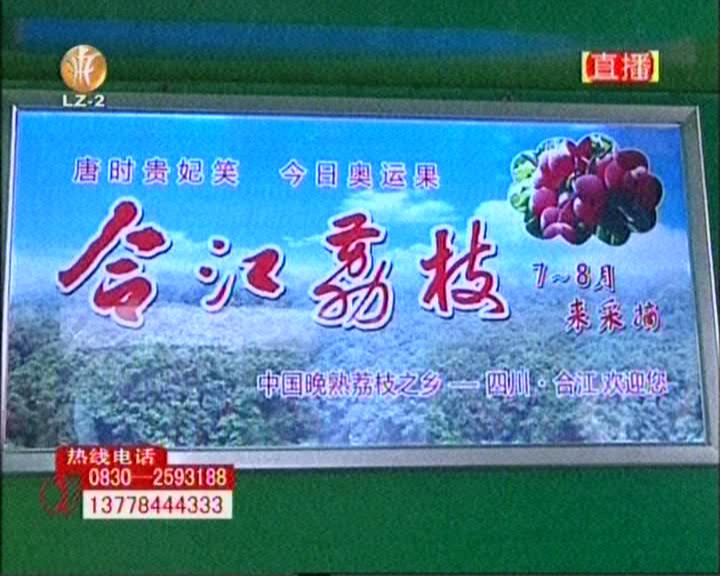 合江荔枝亮相泸州机场 展柜直销提升形象(图3) 合江荔枝亮相泸州机场 展柜直销提升形象(图3)