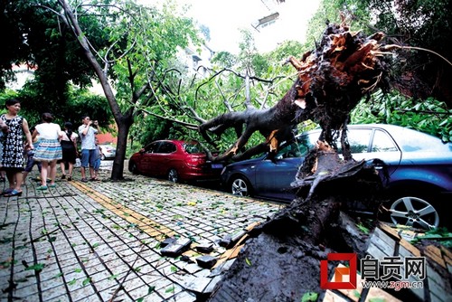 自贡昨日遭遇狂风暴雨 居民屋顶被掀翻(图4) 自贡昨日遭遇狂风暴雨 居民屋顶被掀翻(图4)