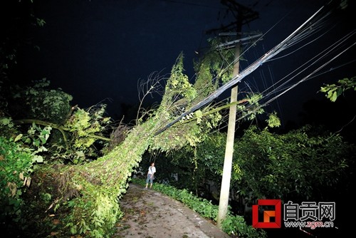 自贡昨日遭遇狂风暴雨 居民屋顶被掀翻(图2) 自贡昨日遭遇狂风暴雨 居民屋顶被掀翻(图2)