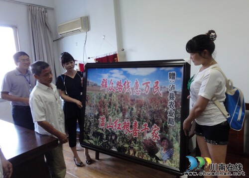 泸县:群众路线惠万民 满山红梁喜千家(图1) 泸县:群众路线惠万民 满山红梁喜千家(图1)
