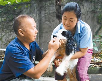 泸州搜救犬鲁甸地震灾区病倒(图2)
