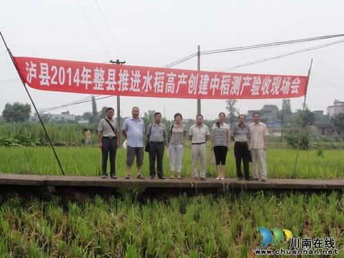 泸县2014年水稻高产创建整县推进项目通过省级专家验收(图1) 泸县2014年水稻高产创建整县推进项目通过省级专家验收(图1)