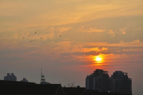 明日处暑 降雨让气温直降10℃ 需防治“秋燥”(图1) 明日处暑 降雨让气温直降10℃ 需防治“秋燥”(图1)
