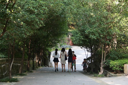 泸州:桂香欲满城何处觅芳踪?新报记者帮你打探(图2) 泸州:桂香欲满城何处觅芳踪?新报记者帮你打探(图2)