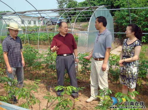 省农管局局长雷茂民来泸县调研(图1) 省农管局局长雷茂民来泸县调研(图1)