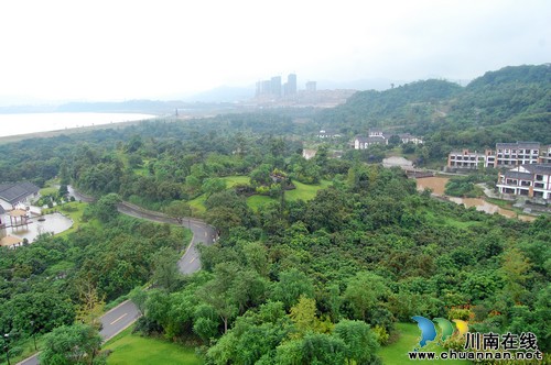 泸州张坝桂圆节即将开幕 百年桂圆等你来尝(图4) 泸州张坝桂圆节即将开幕 百年桂圆等你来尝(图4)