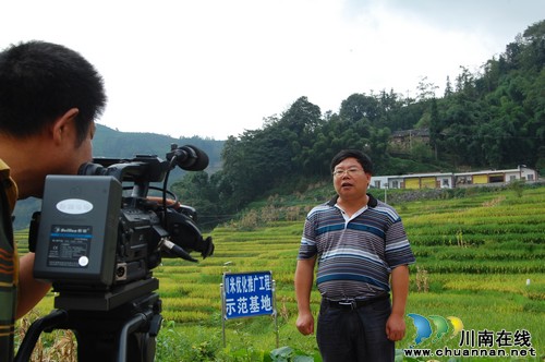 泸州叙永白腊高山大米 每斤售价超40元(图9) 泸州叙永白腊高山大米 每斤售价超40元(图9)