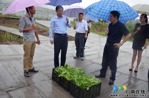 泸州市委副书记曹建国带队到华阳街道西岸村调研(图2) 泸州市委副书记曹建国带队到华阳街道西岸村调研(图2)
